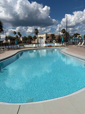 Une piscine aux eaux cristallines, à bords incurvés, entourée d’une clôture, avec un palmier en arrière-plan.