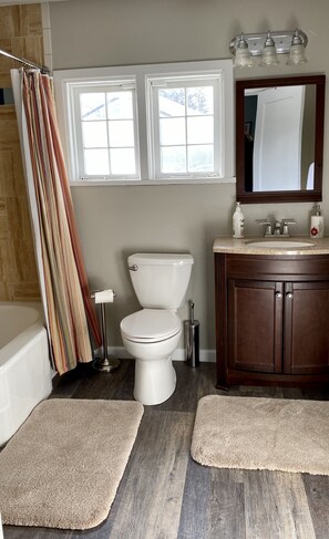 Combined shower/bathtub, hair dryer, towels, toilet paper - Enjoy the Mountain Lifestyle at 3rd St Retreat (Leadville)