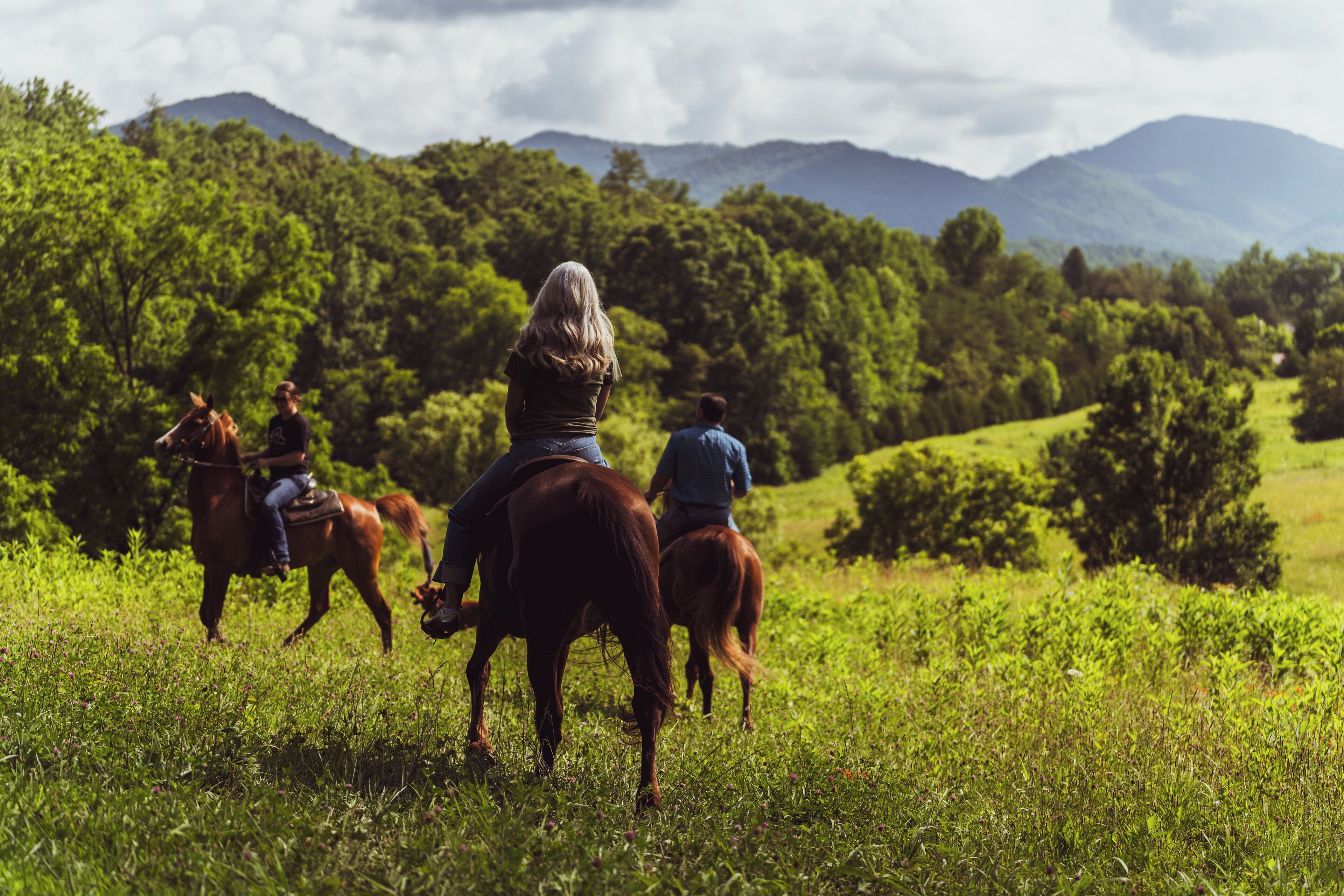 A group of people riding horses in a grassy field with trees and mountains in the background.