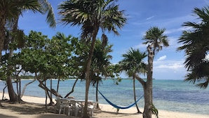 A beach with clear blue water, palm trees, and a hammock. - Early Holiday Booking Discount! (Tulum)