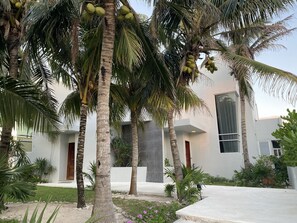 Áreas de la propiedad