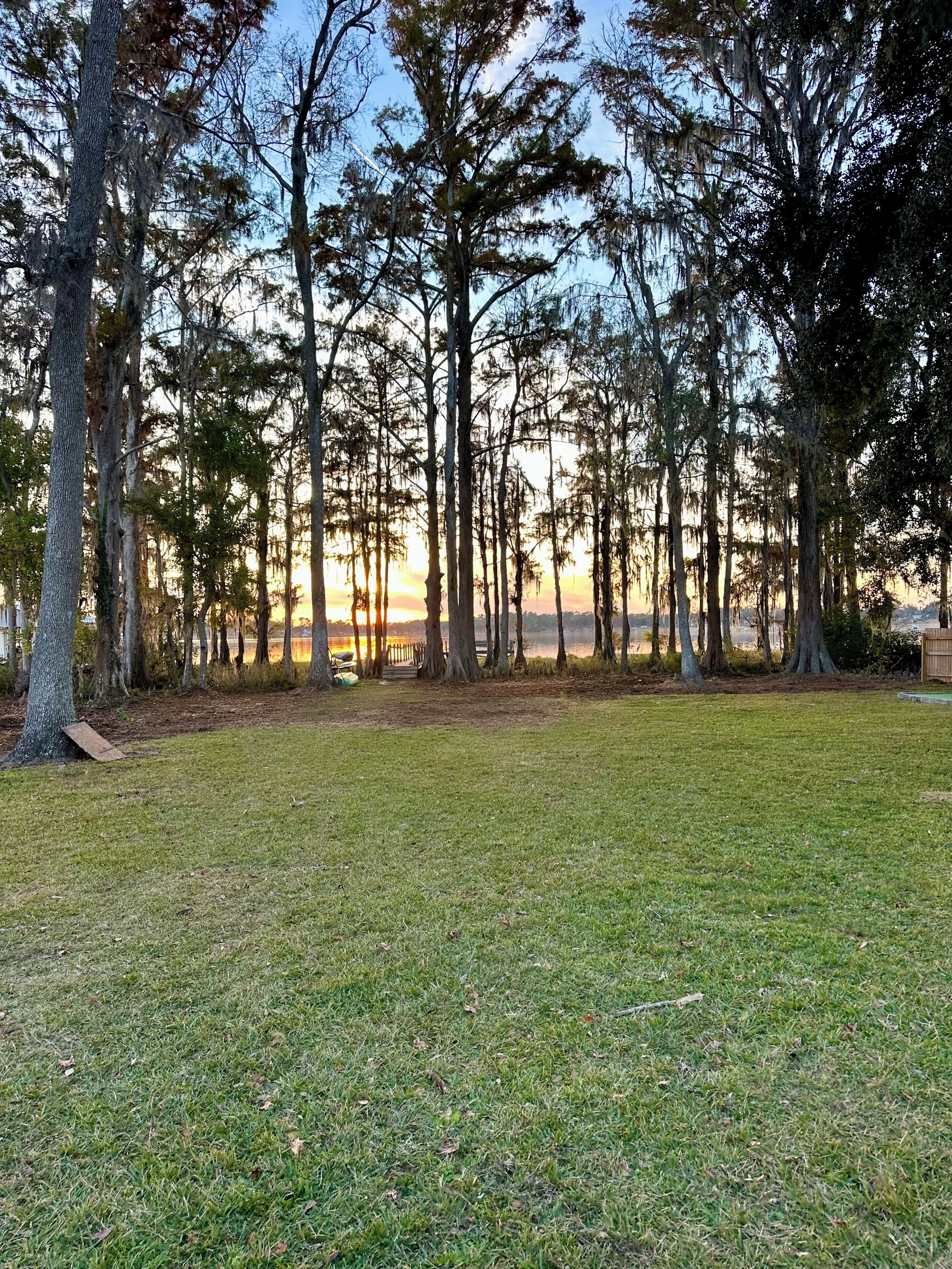 A grassy park area with tall trees and a clear view of the sunset over a body of water.
