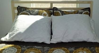 Ringtail Cabin: Economical & Solar Powered Cabin