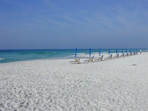 Una playa con filas de tumbonas y sombrillas, cielo despejado y el océano al fondo.