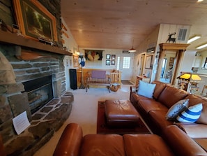 TV, fireplace, DVD player, books