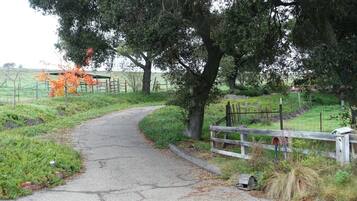 Overnatningsstedets område