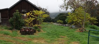 Beautiful cottage in quiet, rural setting in the heart of wine country. 