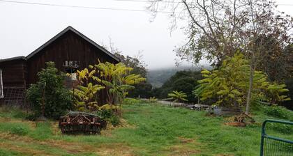 Hermoso apartamento de campo en el corazón del país del vino y la costa de California.