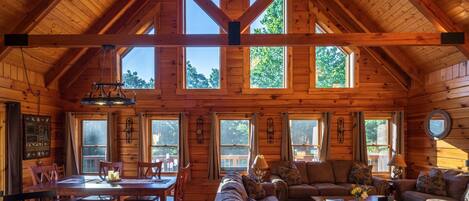 Smart TV, fireplace, DVD player, books