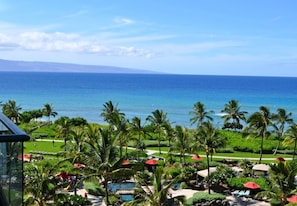 A resort with a pool, palm trees, and a view of the ocean.