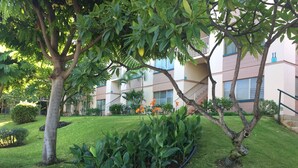 A well-maintained garden with a variety of plants and a neatly trimmed lawn, surrounded by a building with multiple floors and balconies.