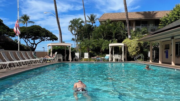 A swimming pool with lounge chairs and palm trees.