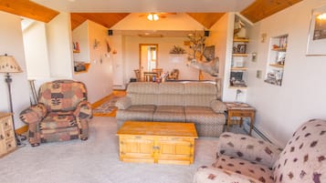 Télévision, cheminée, lecteur de DVD, livres