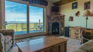 Télévision, cheminée, lecteur de DVD, livres