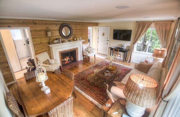 Smart TV, fireplace, video games, books