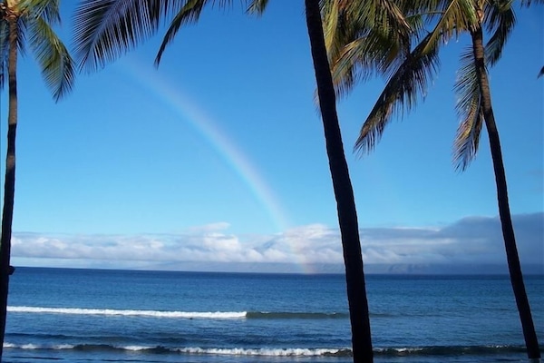 Sun loungers, beach towels