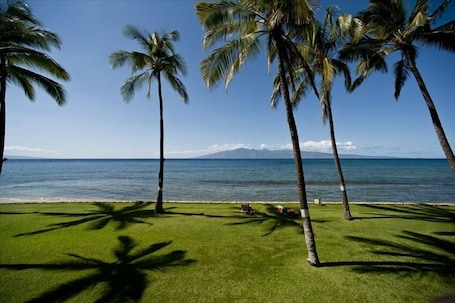 Sun-loungers, beach towels. Oceanfront Condo - See Whales in Season Right From the Balcony!