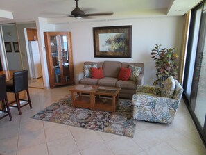 Smart TV, DVD player, books, stereo