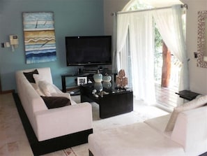 Smart TV, DVD player, books, video library