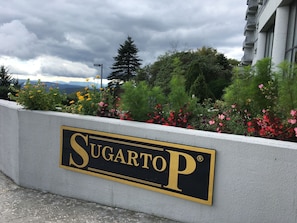 Exterior detail - Million dollar mountain top ⛰ view (Sugar mtn)