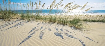 Oceanfront Dog Friendly Home with Easy Beach Access, Grill, and Smart TVs