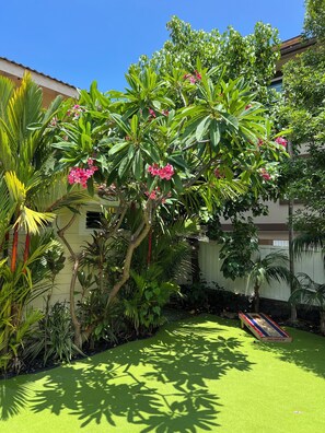 Un jardin luxuriant, avec une grande variété de plantes tropicales et un petit espace piscine.