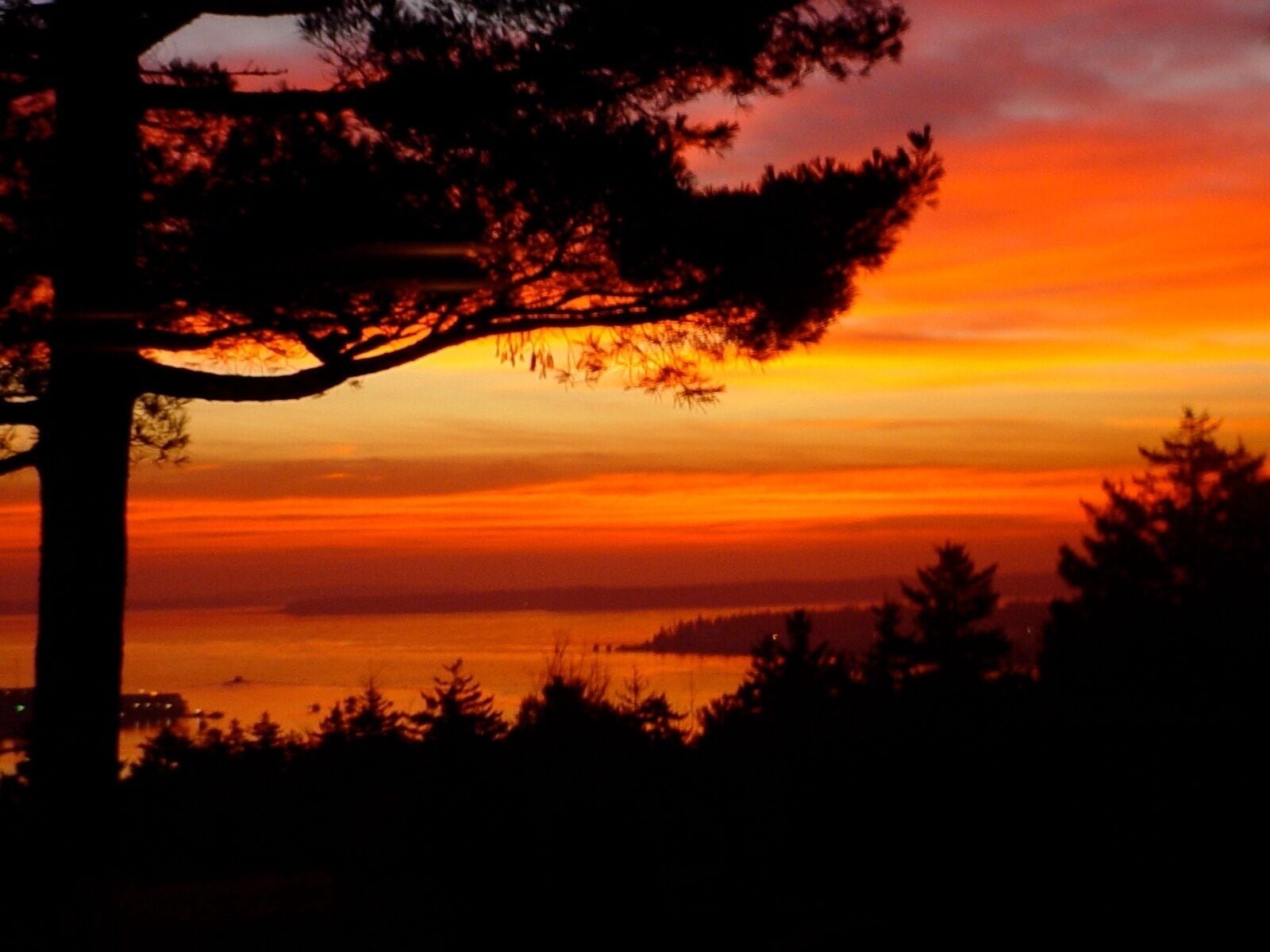 Incredible views overlooking Southwest Harbor and beyond.