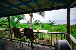 Outdoor dining - Cottage with Amazing View, Minutes to Dolphin Swimming, Very Private, Affordable (Captain Cook)