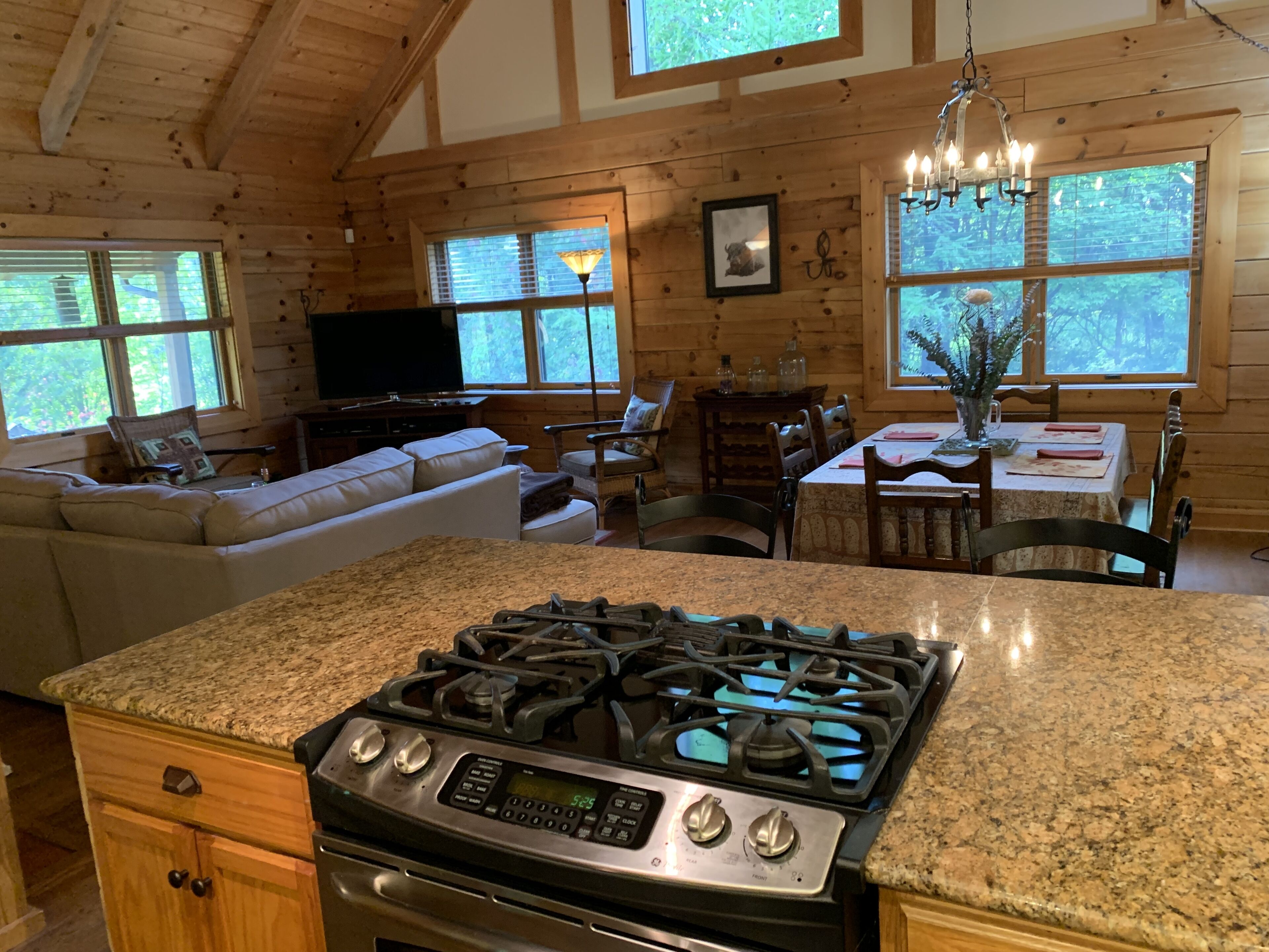 *MUST SEE*  Cozy Log Cabin with Amazing Mountain Views