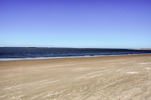 Watch the Dolphins and Ships From Balcony!