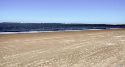 Watch the Dolphins and Ships From Balcony!