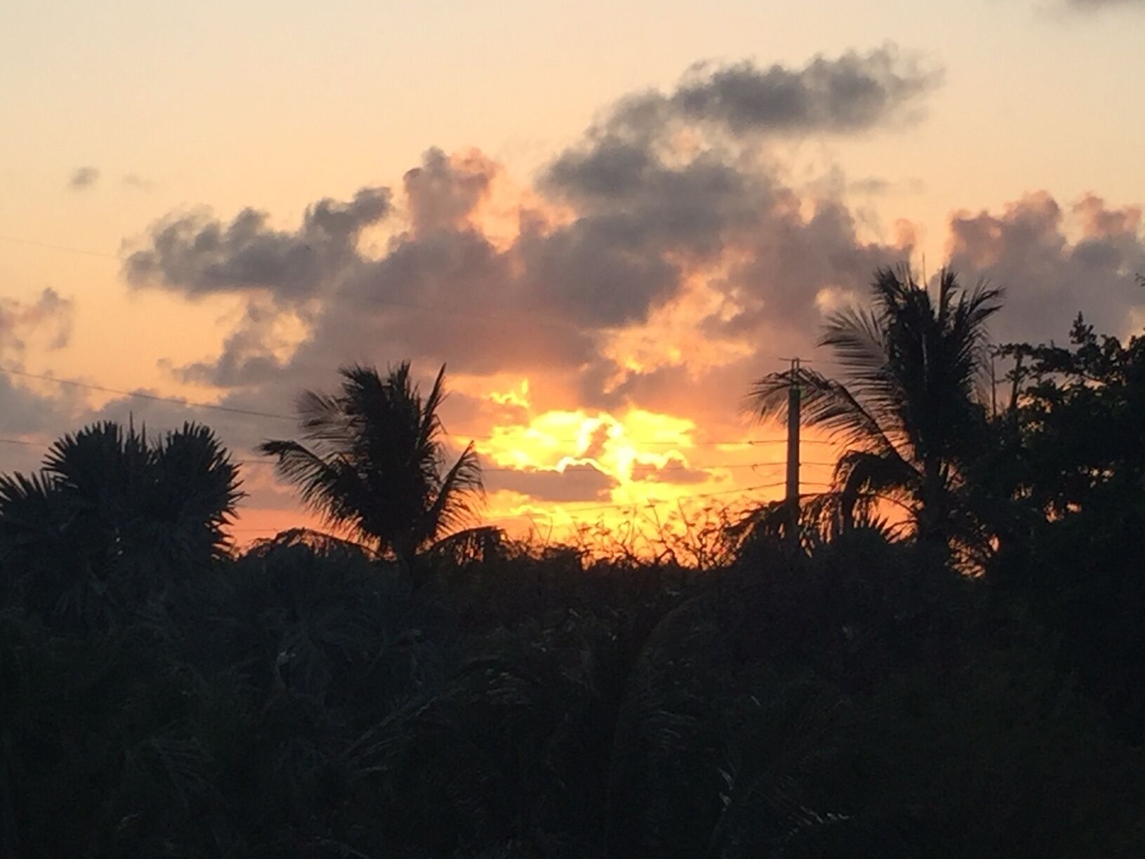 A sunset with clouds and silhouettes of palm trees.