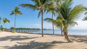 Une plage de sable bordée de palmiers, offrant une vue dégagée sur l’eau.
