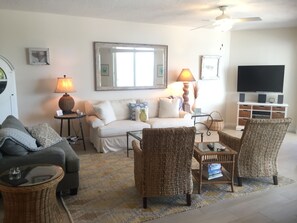 TV, DVD player, books, video library