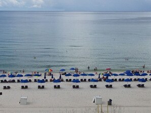 Une plage bordée de rangées de parasols bleus et de chaises longues.