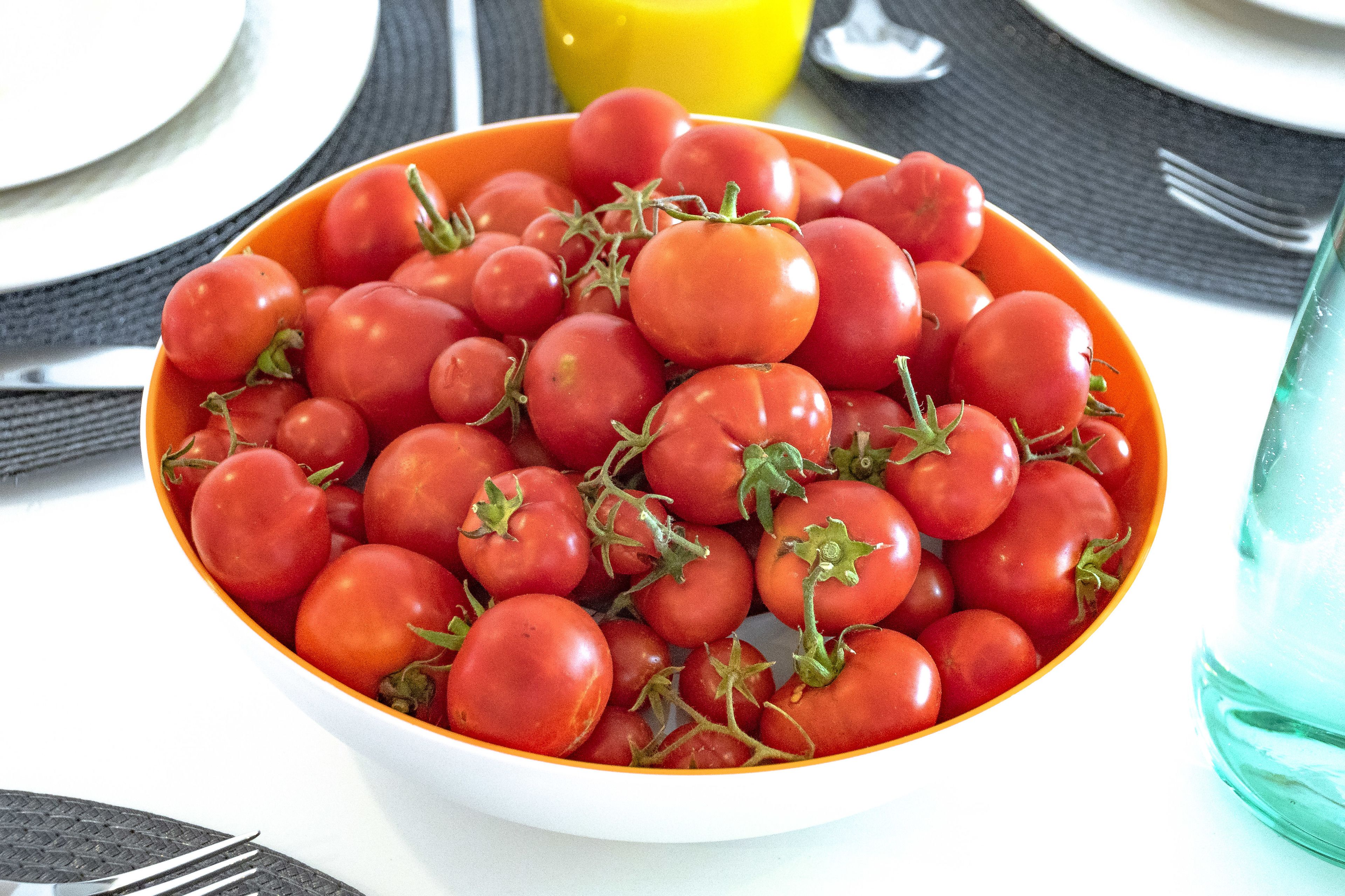 Een schaal verse tomaten op een tafel.