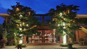 L’entrée d’un hôtel, avec une façade en verre illuminée par des guirlandes lumineuses accrochées aux arbres, et un escalier menant à l’entrée.