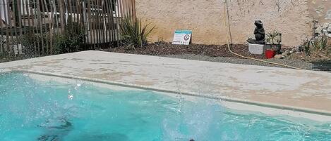A swimming pool with clear water, surrounded by a stone wall and a wooden fence.
