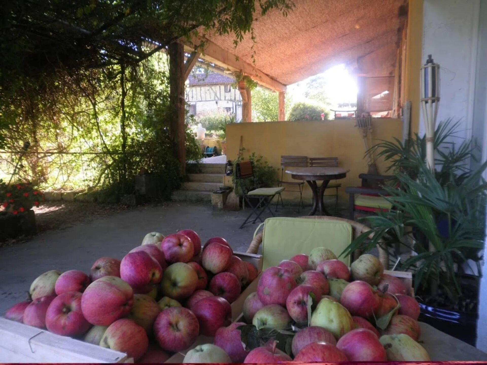 A covered outdoor seating area with a table and chairs, surrounded by greenery and a pile of apples.