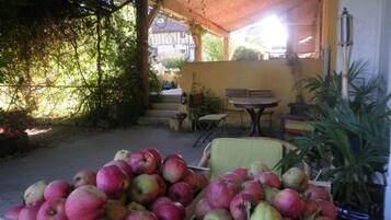 Un área de estar al aire libre con techo, con una mesa y sillas, rodeada de vegetación y una pila de manzanas.