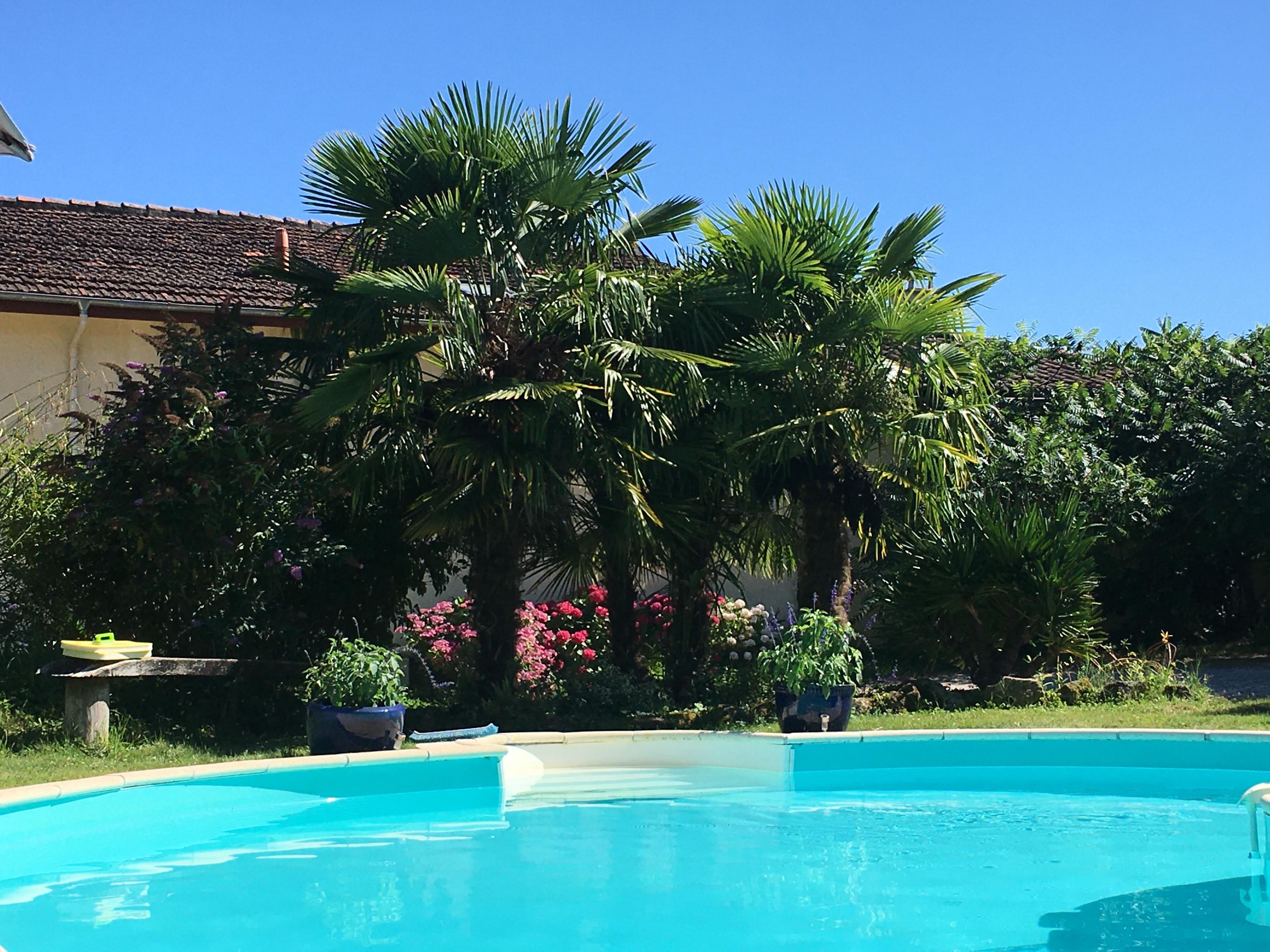 A swimming pool surrounded by lush greenery and a building with a tiled roof.