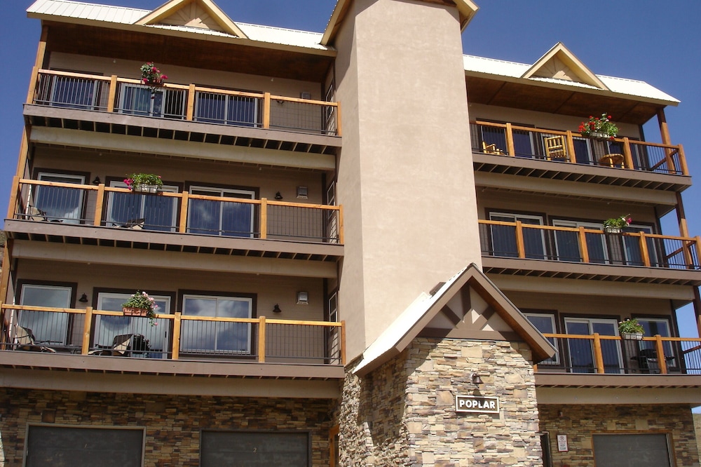 Fall is here!! Crested Butte is turning "Gold"!!! Come to enjoy it!!