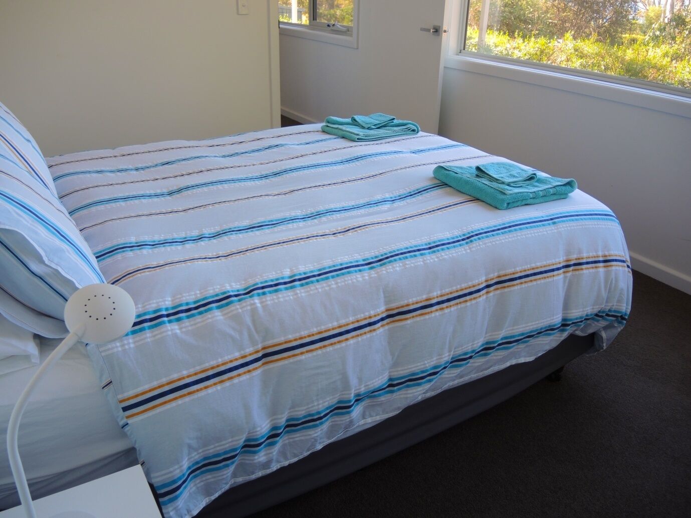 Maria Island Vista at Spring Beach — image 11