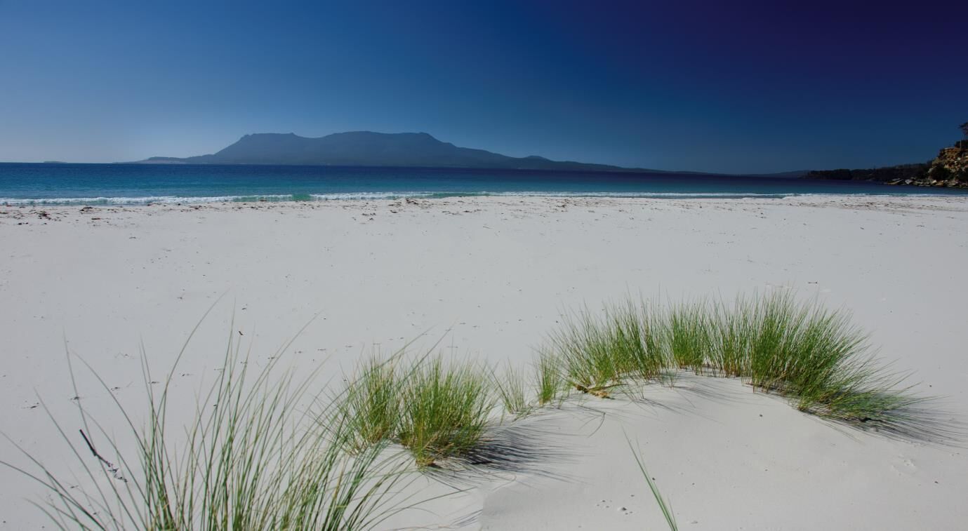 Maria Island Vista at Spring Beach — image 20