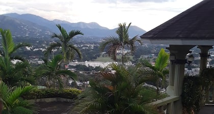 Mini Self Contained- Manor Park Kingston