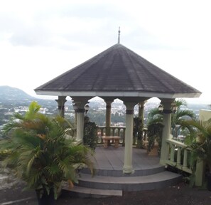 Property grounds - Mini Self Contained- Manor Park Kingston (Constant Spring)