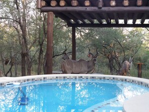 House, Multiple Beds, Non Smoking, Garden View | View from room