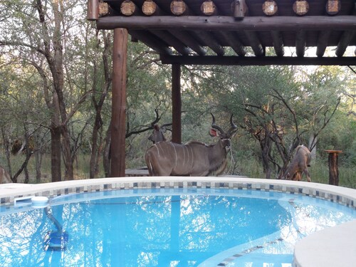 Treetops Holiday Home