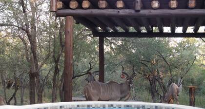 Treetops Holiday Home