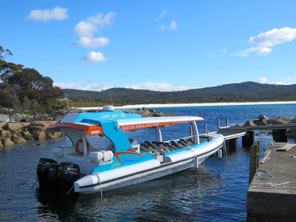 Toddle Inn - Binalong Bay — image 23